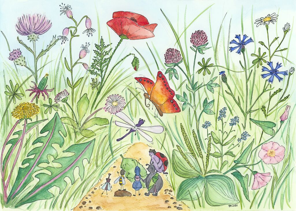 łąka, owady, kwiaty na lące