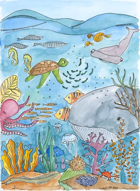 podwodny świat, wieloryb