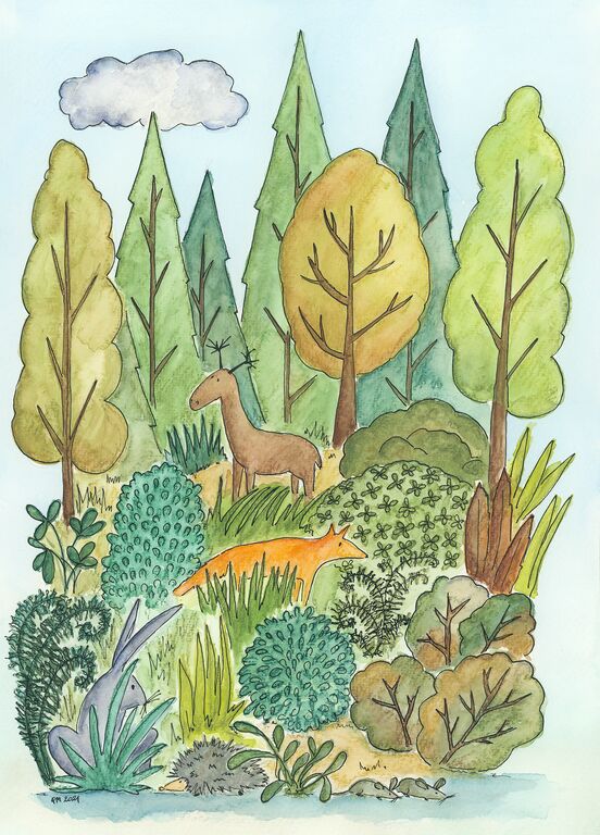 las, leśne zwierzaki,